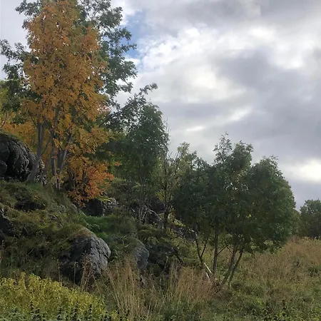 Velhus Apartman