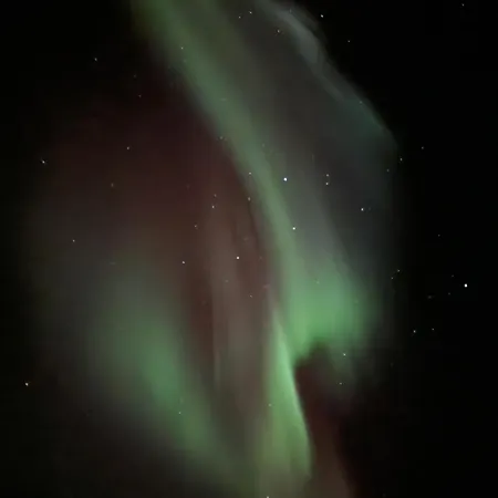 Velhus